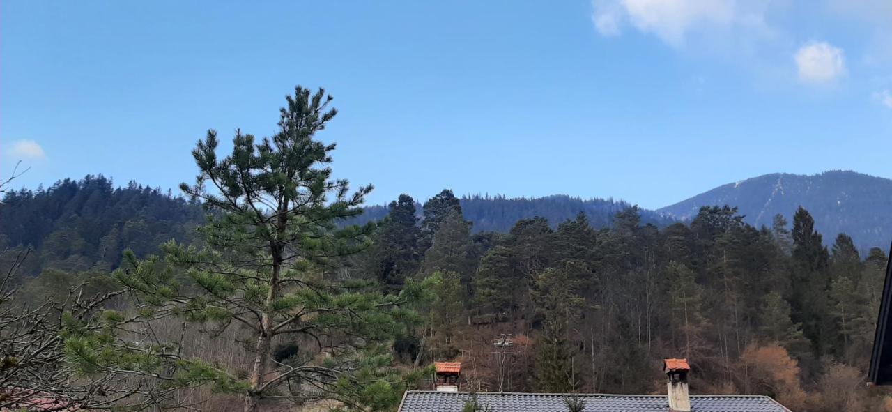 Appartement Im Hasental Garmisch-Partenkirchen Exterior foto